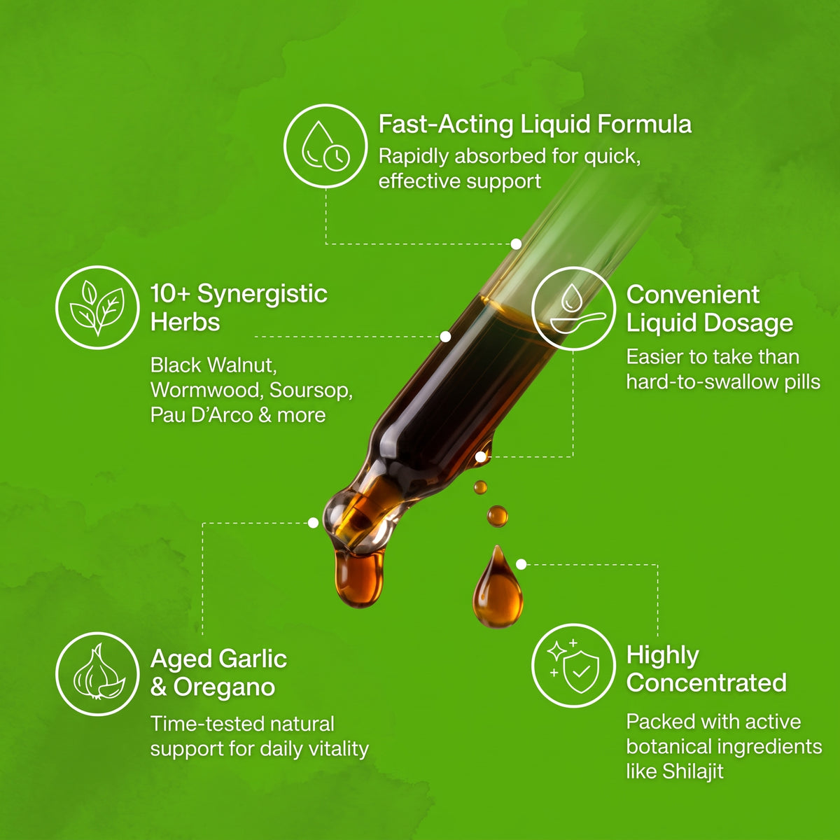 AllPure Black Walnut Wormwood Drops